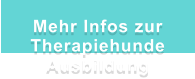 Mehr Infos zur Therapiehunde Ausbildung