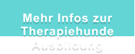 Mehr Infos zur Therapiehunde Ausbildung